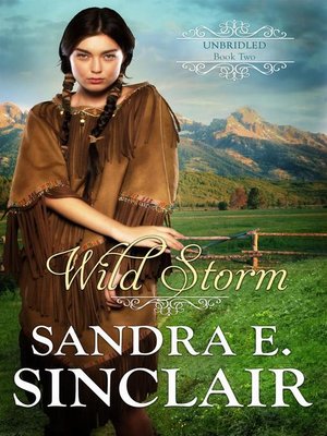 cover image of Wild Storm